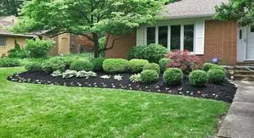 New landscaping, fresh mulch, and a green cut lawn at a home in Beachwood, %%state%%.