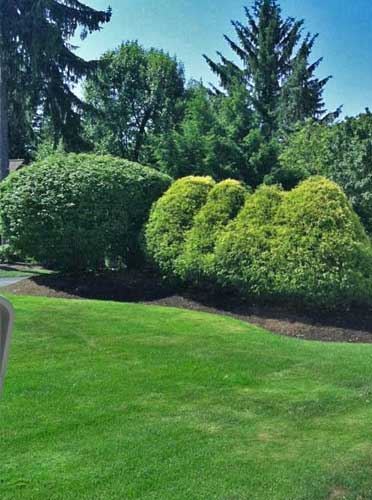 Shrub trimming, landscape bed shaping, new mulch, and cut grass at a home in Pepper Pike, %%state%%.